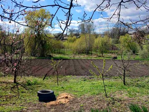 дом по адресу с. Бережинка, Центральна