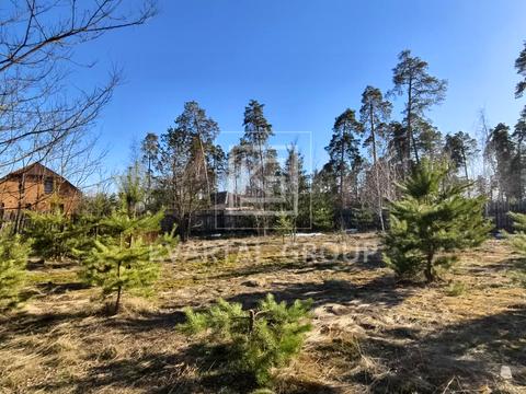 ділянка за адресою Лесі Українки вул. (Генерала Небогатова)