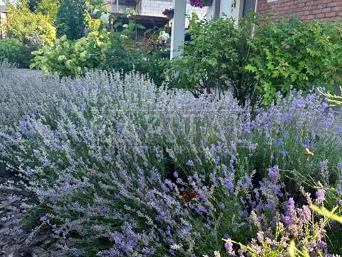 дом по адресу басейна, 68