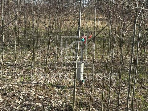 ділянка за адресою Онтаріо