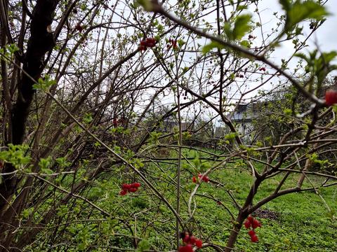 дом по адресу Костя Широцкого ул., 33