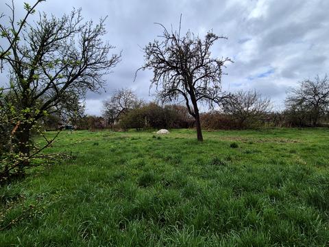 участок по адресу Костя Широцкого ул., 33