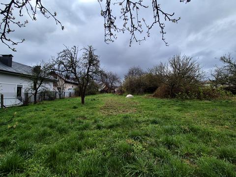 участок по адресу Костя Широцкого ул., 33