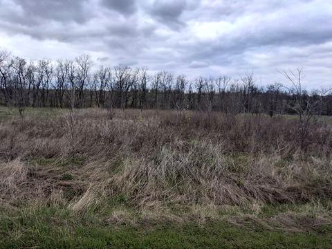 ділянка за адресою с. Волоське, Упорна, 52