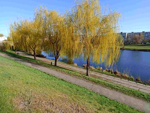 квартира по адресу Николая Закревского ул., 7