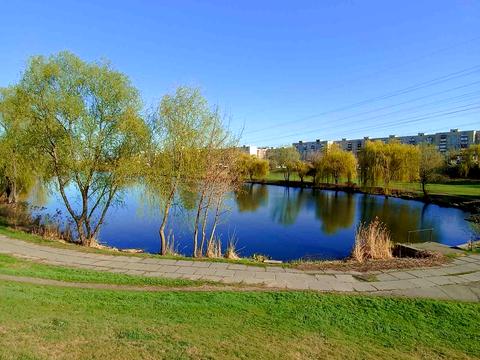 квартира по адресу Николая Закревского ул., 7