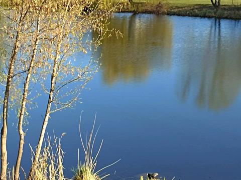 квартира по адресу Николая Закревского ул., 7