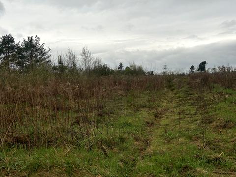 ділянка за адресою с. Бартатів, Північна