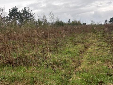 ділянка за адресою с. Бартатів, Північна