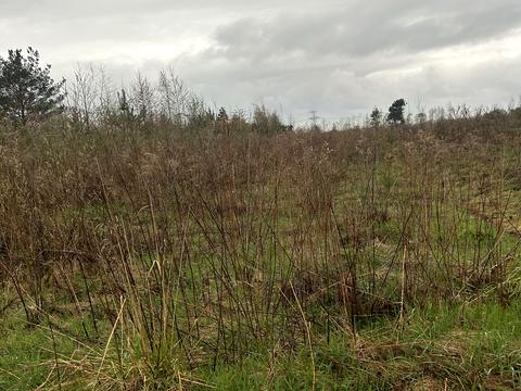 ділянка за адресою с. Бартатів, Північна