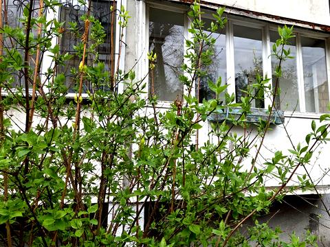 квартира по адресу Жилянская ул., 76