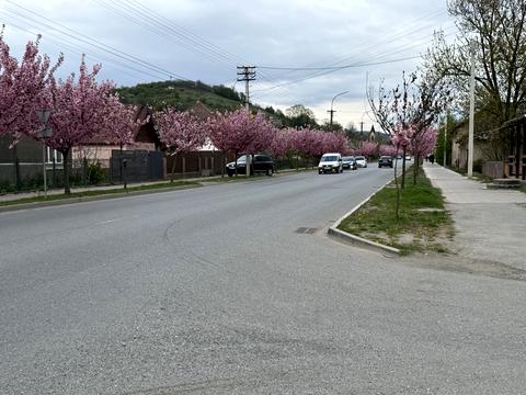 квартира за адресою Незалежності, 111