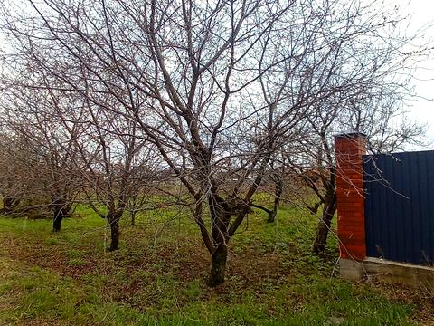 участок по адресу Київська