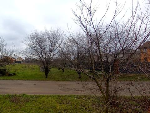 участок по адресу Київська