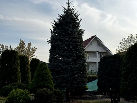 дом по адресу Українська, 13