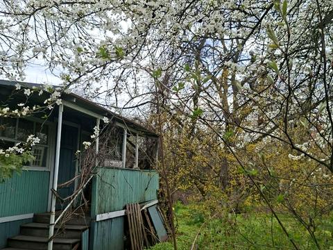 ділянка за адресою 24 Садова вул.