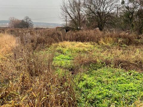 участок по адресу Соборная ул.
