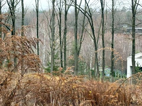 ділянка за адресою Козинська вул., 23