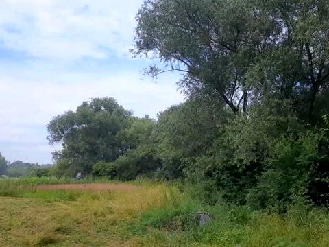 ділянка за адресою с. Ясниська, 