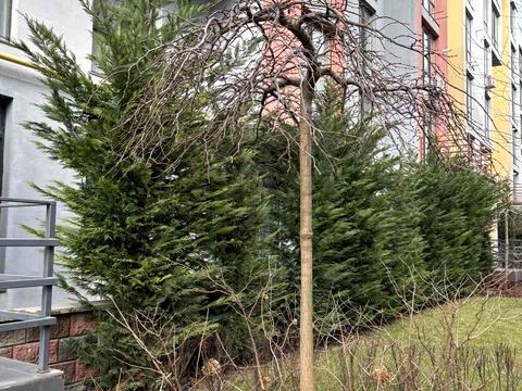 квартира за адресою Марсельська вул., 32/2