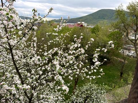 квартира за адресою Ужанська вул. (Червоноармійська), 8