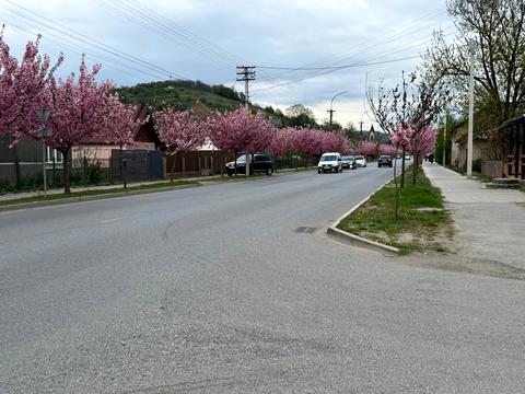 квартира за адресою Ужанська вул. (Червоноармійська), 8