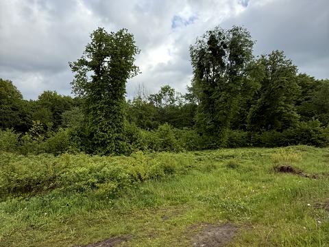 ділянка за адресою 