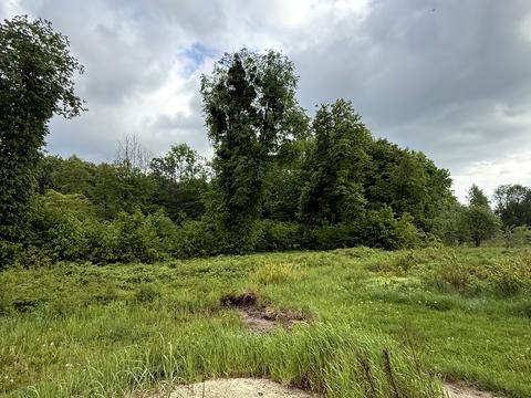 участок по адресу 