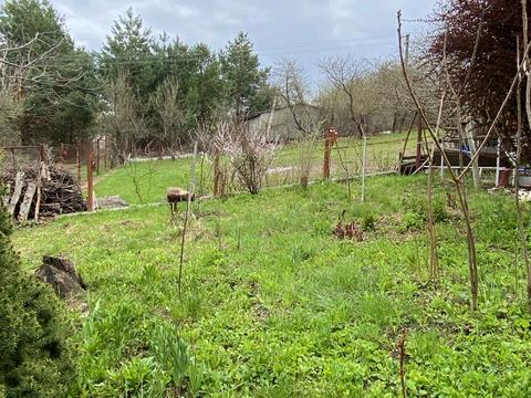 будинок за адресою Квіткова