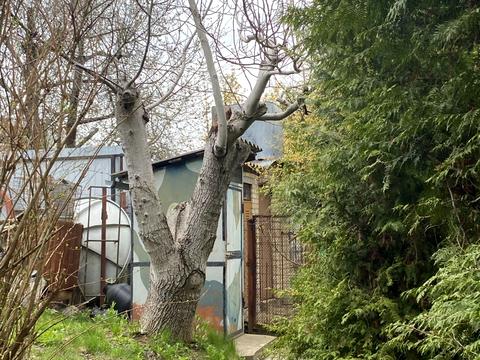 будинок за адресою Квіткова