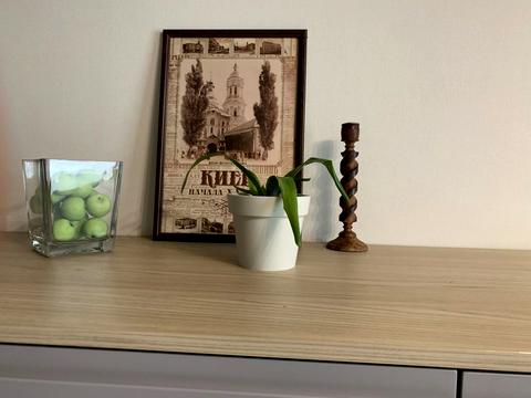 квартира по адресу Митрополита Василия Липковского ул. (Урицкого), 33-А