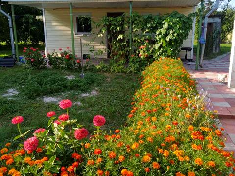 дом по адресу Буда-Варовицька