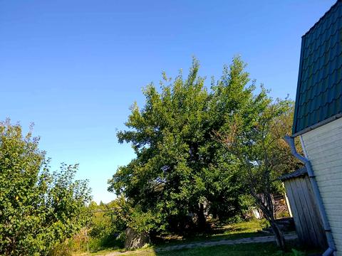 дом по адресу Буда-Варовицька