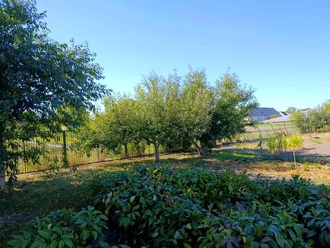 дом по адресу Буда-Варовицька