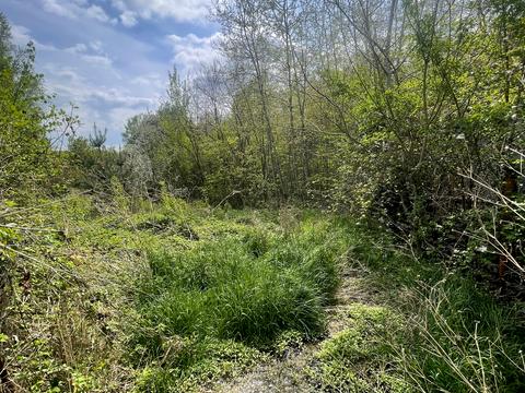 ділянка за адресою 