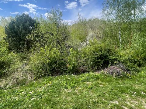 ділянка за адресою 