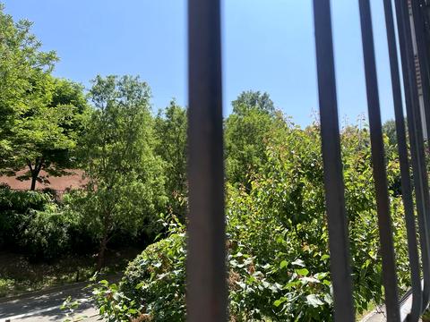 квартира за адресою Голосіївська вул., 13-Б