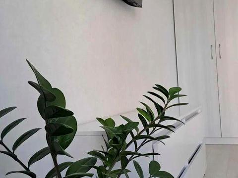 квартира по адресу Днепровская набережная ул., 15-Д