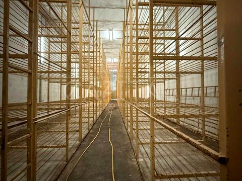 комерційна за адресою Київська, 77