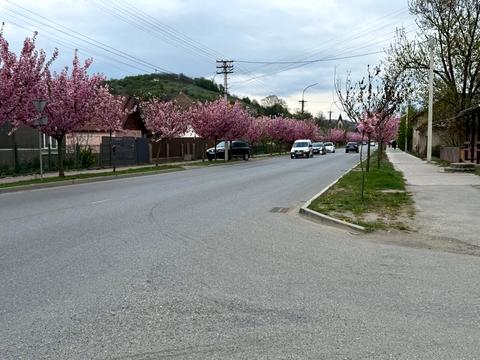 квартира за адресою Світанкова вул. (Горького), 18