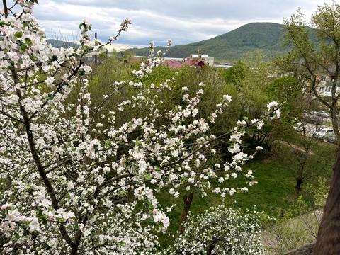 квартира за адресою Світанкова вул. (Горького), 18