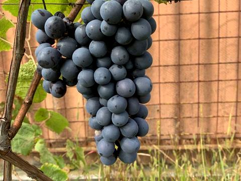 будинок за адресою Радгоспна