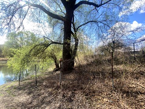 дом по адресу Розлив