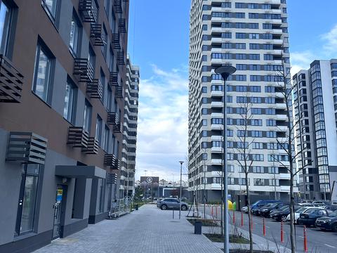 квартира за адресою Олександра Олеся вул., 17