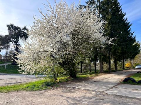 комерційна за адресою П'яскорського, 76