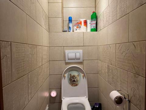 квартира за адресою Українських Соколів вул., 11г