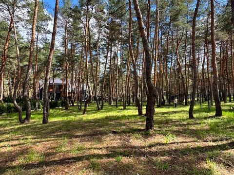 ділянка за адресою Сосновий берег