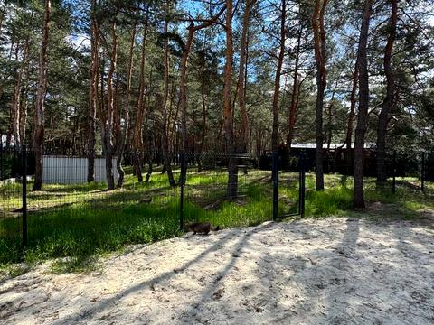 ділянка за адресою Сосновий берег
