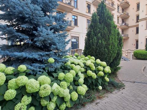 квартира по адресу Греческая ул., 2