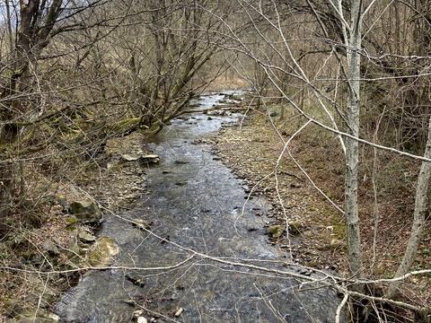 ділянка за адресою Духновича